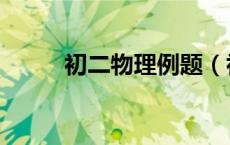 初二物理例题（初二物理练习题）