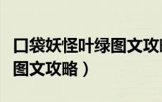 口袋妖怪叶绿图文攻略三周目（口袋妖怪叶绿图文攻略）