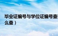 毕业证编号与学位证编号查询（毕业证编号和学位证编号怎么查）