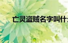 亡灵盗贼名字叫什么（亡灵盗贼名字）