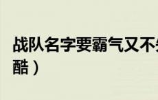 战队名字要霸气又不失大雅（战队名字大全要酷）