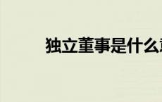独立董事是什么意思（独立董事）