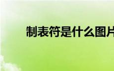 制表符是什么图片（制表符是什么）
