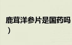 鹿茸洋参片是国药吗（鹿茸洋参片多少钱一盒）
