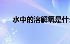 水中的溶解氧是什么（溶解氧是什么）