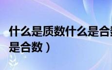 什么是质数什么是合数口诀（什么是质数什么是合数）
