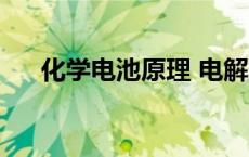 化学电池原理 电解液（化学电池原理）