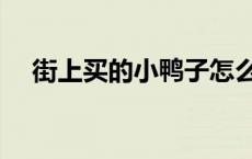 街上买的小鸭子怎么养（小鸭子怎么养）