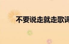 不要说走就走歌词（不要说走就走）