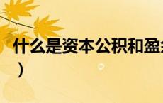 什么是资本公积和盈余公积（什么是资本公积）