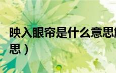 映入眼帘是什么意思解释（映入眼帘是什么意思）