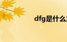 dfg是什么意思（dfg）