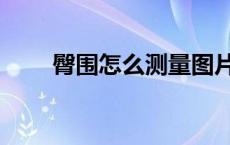 臀围怎么测量图片（臀围怎么测量）