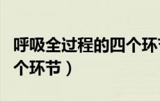 呼吸全过程的四个环节的图（呼吸全过程的四个环节）