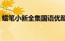 蜡笔小新全集国语优酷（蜡笔小新新番优酷）