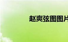 赵爽弦图图片（赵爽弦图）