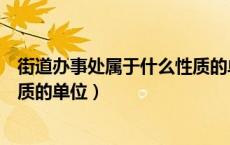 街道办事处属于什么性质的单位呢（街道办事处属于什么性质的单位）