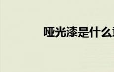 哑光漆是什么意思（哑光漆）