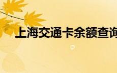 上海交通卡余额查询（交通卡余额查询）