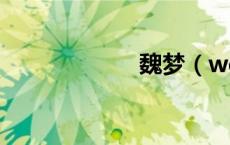 魏梦（weimeng）