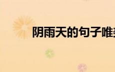阴雨天的句子唯美短句（阴雨天）