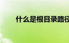 什么是根目录路径（什么是根目录）