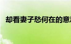 却看妻子愁何在的意思（却看妻子愁何在）
