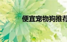 便宜宠物狗推荐（便宜宠物狗）