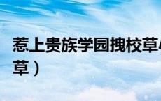 惹上贵族学园拽校草小说（惹上贵族学院拽校草）