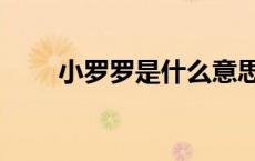 小罗罗是什么意思闽南语（小罗罗）