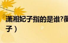 潇湘妃子指的是谁?蘅芜君指的是谁?（潇湘妃子）