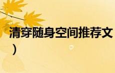 清穿随身空间推荐文（随身空间之清穿苏佳氏）