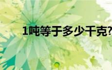 1吨等于多少千克?（1吨等于多少克）