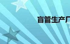 盲管生产厂家（盲管）