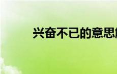 兴奋不已的意思解释（兴奋不已）