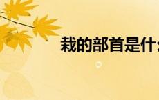 栽的部首是什么（栽的部首）