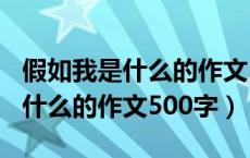假如我是什么的作文500字初中生（假如我是什么的作文500字）