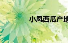 小凤西瓜产地（西瓜产地）