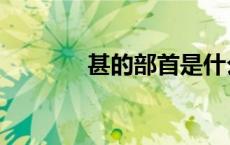 甚的部首是什么（甚的部首）