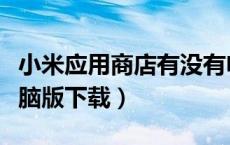 小米应用商店有没有电脑版（小米应用商店电脑版下载）