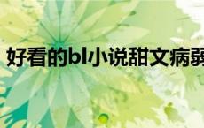 好看的bl小说甜文病弱（好看的bl小说甜文）