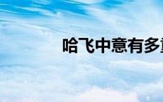 哈飞中意有多重（哈飞中意）