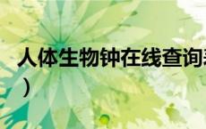 人体生物钟在线查询表（人体生物钟在线查询）