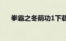 拳霸之冬荫功1下载（拳霸2之冬荫功）
