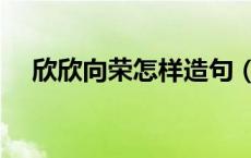 欣欣向荣怎样造句（欣欣向荣意思造句）