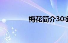 梅花简介30字（梅花简介）