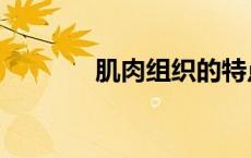 肌肉组织的特点（肌肉组织）