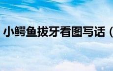 小鳄鱼拔牙看图写话（给小鳄鱼拔牙中文版）
