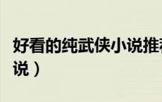 好看的纯武侠小说推荐几个（好看的纯武侠小说）