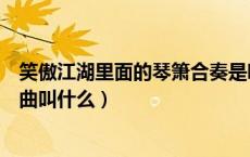 笑傲江湖里面的琴箫合奏是哪两位前辈（笑傲江湖琴箫合奏曲叫什么）